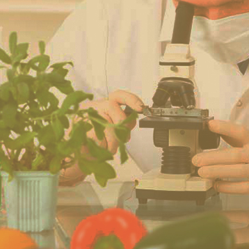 CIÊNCIA DE ALIMENTOS EAD