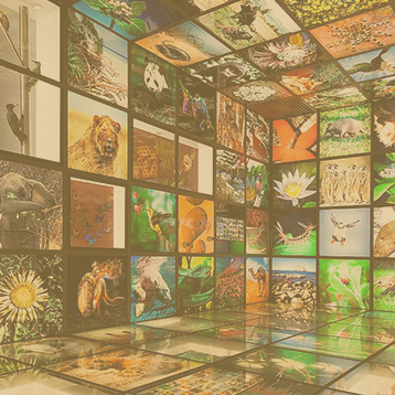 ECOLOGIA E BIODIVERSIDADE EAD