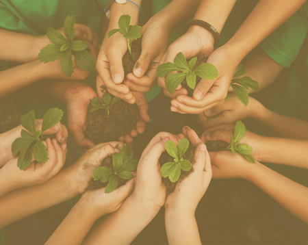 EDUCAÇÃO AMBIENTAL EAD